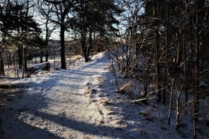 Snowy Path