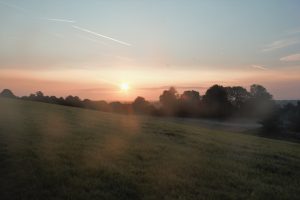 Sun rising over a field