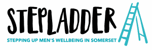 Stepladder_logo Stepladder_logo
