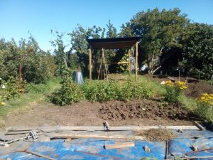 Allotment