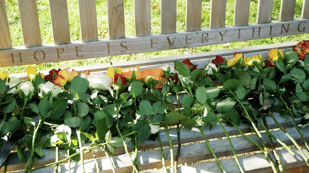 flowers on a bench