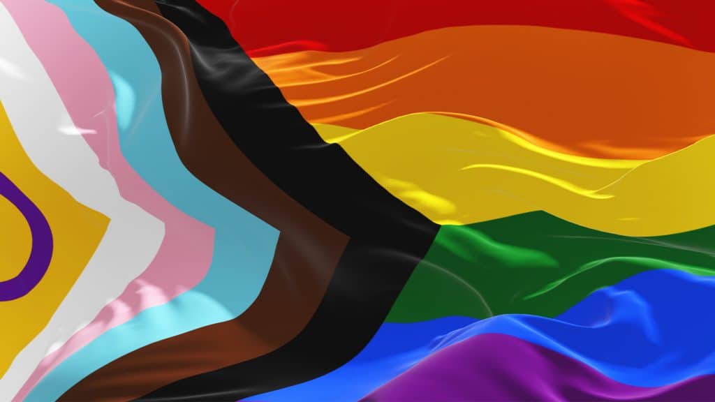 The progress pride flag, with 7 rainbow colours, the blue, pink and white colours for trans inclusivity, and black and brown colours to include people of colour.