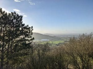 A landscape photo of the Gloucestershire countryside with a tree in the foreground.