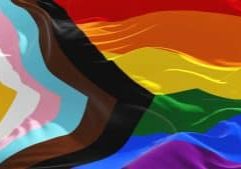 The progress pride flag, with 7 rainbow colours, the blue, pink and white colours for trans inclusivity, and black and brown colours to include people of colour.