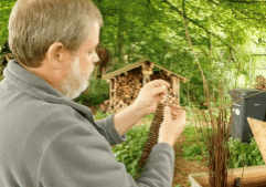 Warren-weaving-leaf-1